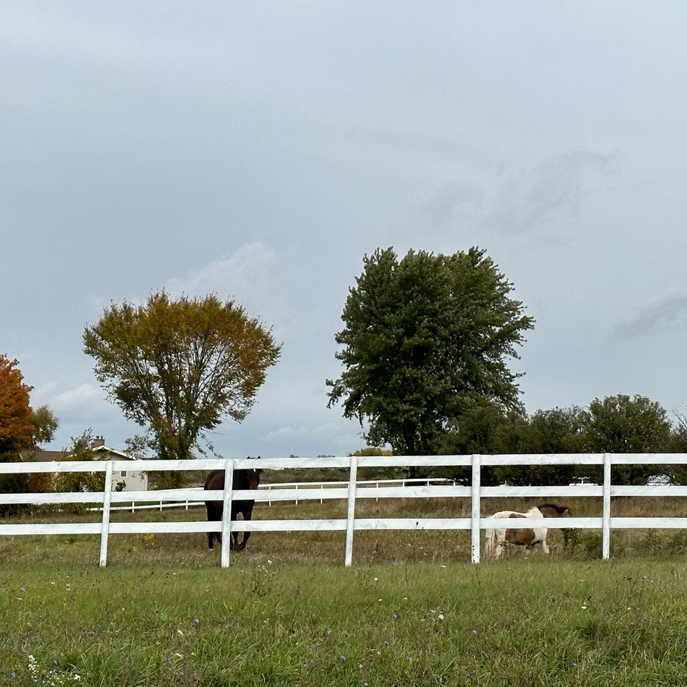 Meet your Posher, Amy